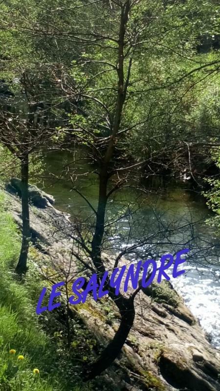 Gite Du Devez Des Bruyeres Prades  Exterior foto